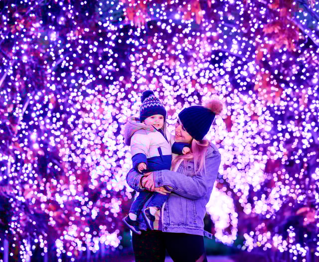 RHS Garden Wisley's Glow illuminates the night until January 2