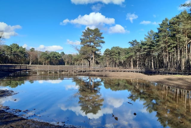 Ann Tilbury’s community news for December
