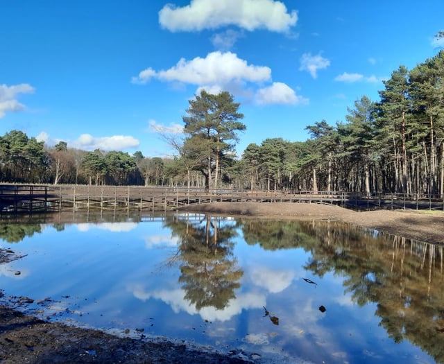 Ann Tilbury’s community news for December