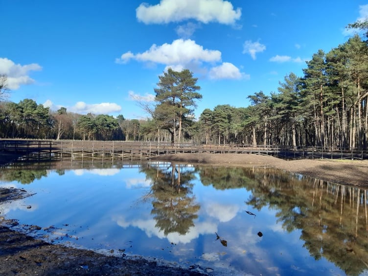The Rive Ponds on Wheatsheaf Common