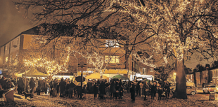First Christmas lights switch-on at Pyrford attracts 200 residents