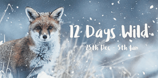 Royer Slater: Next week will be an ideal time to go wild