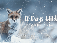 Royer Slater: Next week will be an ideal time to go wild