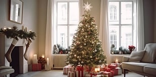 Donate to hospice and have your Christmas tree picked up for free