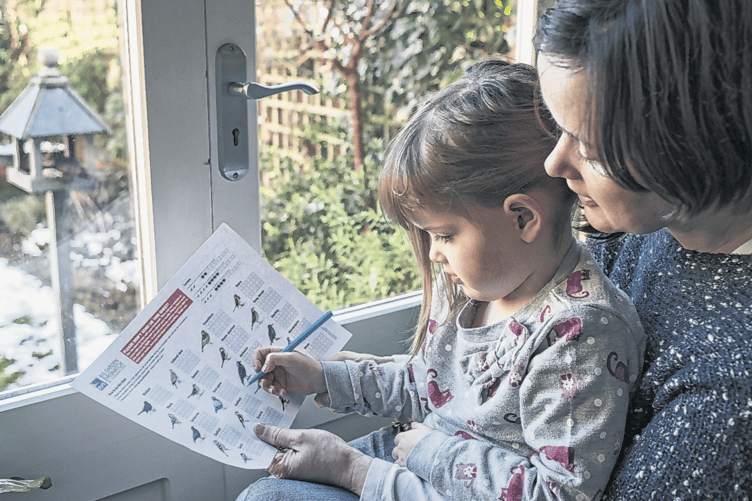 The Big Garden Birdwatch, the world’s largest garden wildlife survey, is very useful to the RSPB and is fun and educational