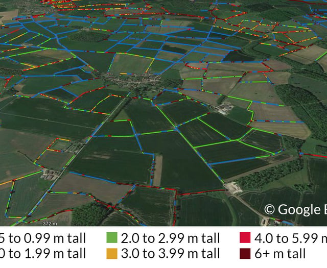 Surrey and Hampshire have the lowest densities of hedgerows in the UK