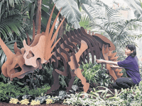 Leap back in time at RHS Wisley’s prehistoric Glasshouse event