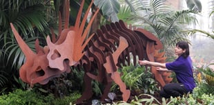 Leap back in time at RHS Wisley's prehistoric Houseplant Takeover