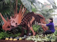 Leap back in time at RHS Wisley's prehistoric Houseplant Takeover