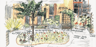 Wellbeing garden in Goldsworth Park will be open to everyone