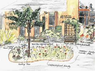 Wellbeing garden in Goldsworth Park will be open to everyone