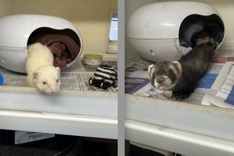 Lecter, left, and Myers