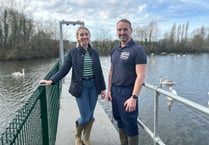 'Cruel' attacks on swans lead to calls for catapult ban