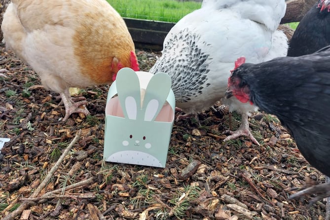After finding all the eggs, children will need to unravel the mystery word for the chance to win a special certificate, sticker and a chocolate treat