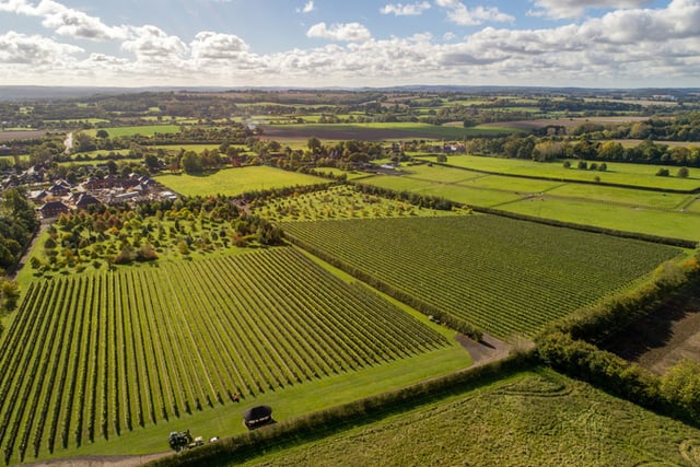 Rail to Trail Walking Festival launched in East Hampshire and Surrey