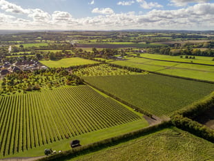 Rail to Trail Walking Festival launched a short train ride from Woking