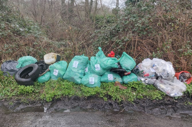 Litter collected in Burdenshott Road, Woking