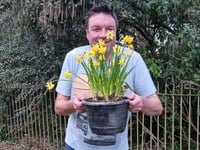 'Let International Colour Day remind you of the joys of Spring'