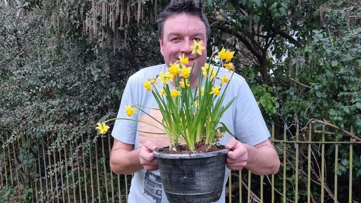 Springy Jon 'Let International Colour Day remind you of the joys of Spring ...
