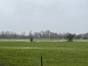 Woking MP opens petition against proposed West Byfleet development