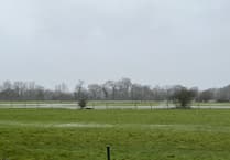 Woking MP opens petition against proposed West Byfleet development