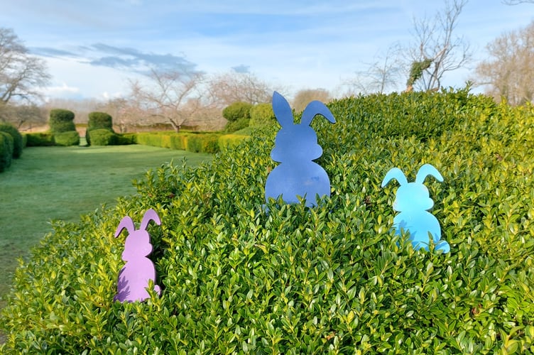 Rabbits Trail West Horsely Place