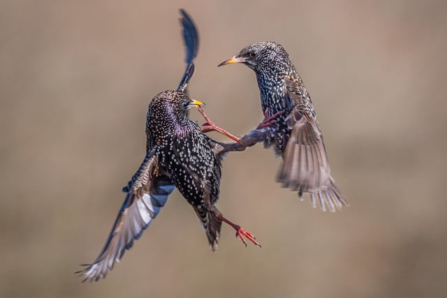 Woking Photographic Society display is picture perfect