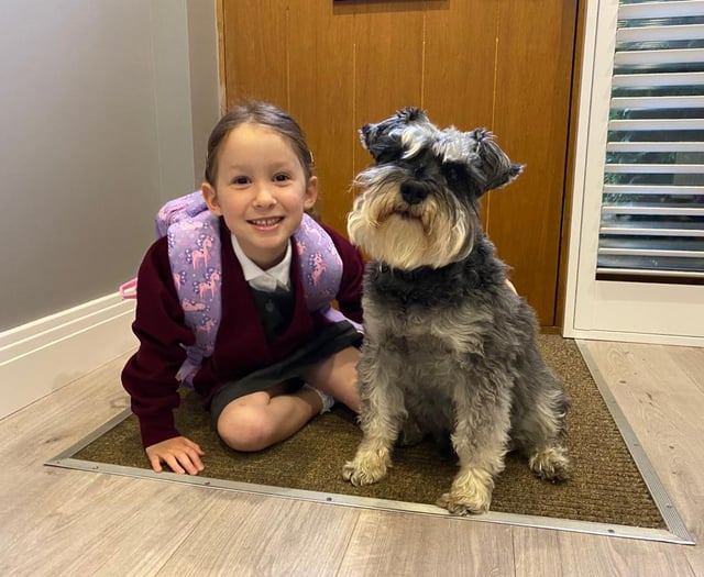 Seven-year-old raises money for dogs' charity in memory of pal Pepper
