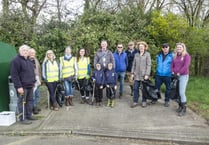 Village litter-pick collects 'disgusting' amount of rubbish