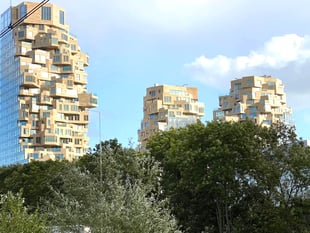Ann Tilbury: Let's stop the spread of the Towers of Woking