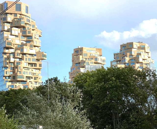 Ann Tilbury: Let's stop the spread of the Towers of Woking