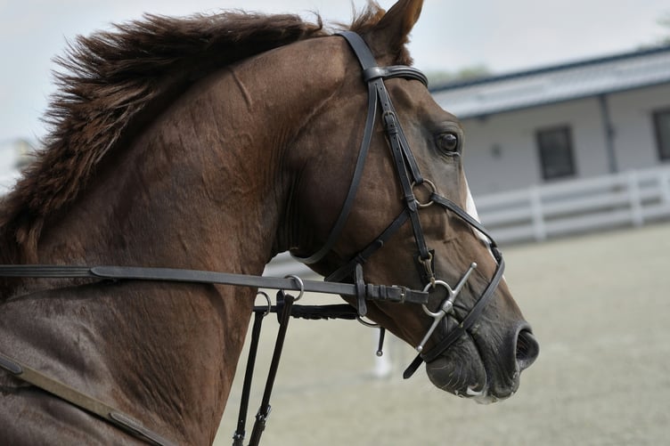 Photo by Unsplash/Violeta Pencheva