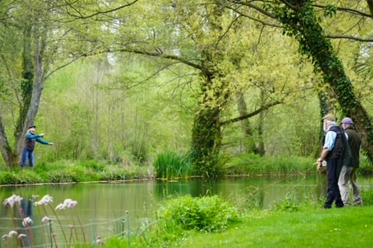 Cancer & Pisces in Holbury