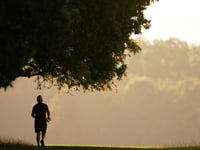 Adults in Woking have above average levels of physical activity