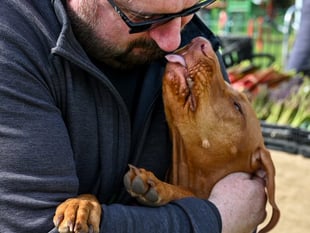 How waggy is your dog's tail? Here's where to find out...