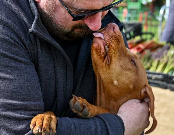 Dogs Trust Ripley