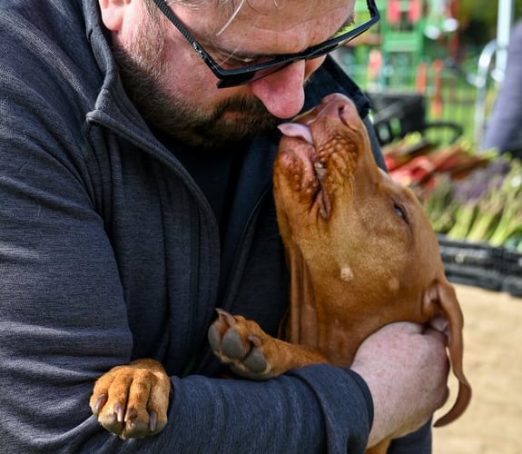 Dogs Trust Ripley
