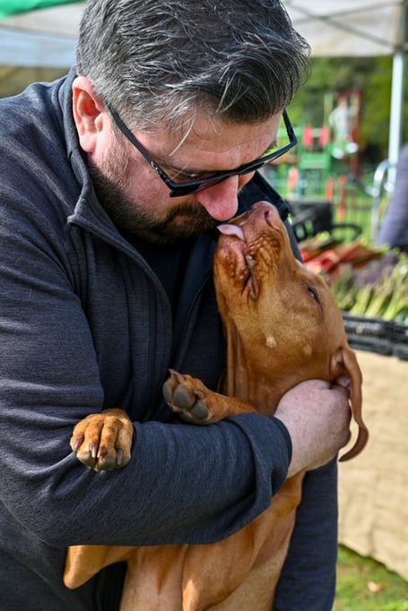Dogs Trust Ripley