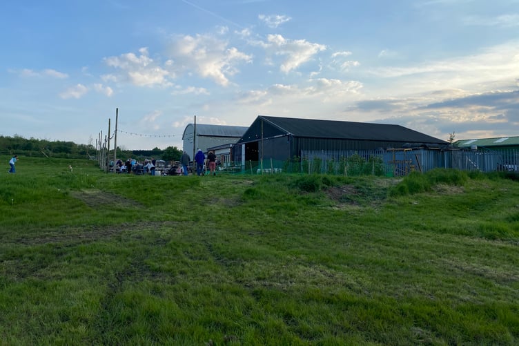 Hogs Back Brewery