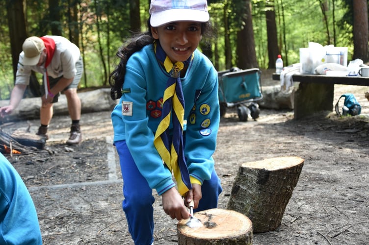 Beavers Go Wild camp