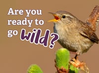 Go wild with nature every day in June