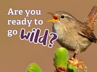 Go wild with nature every day in June