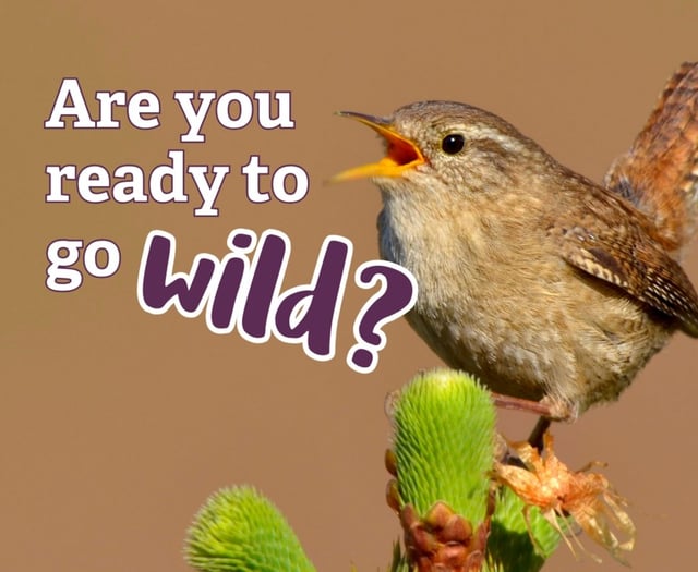 Go wild with nature every day in June