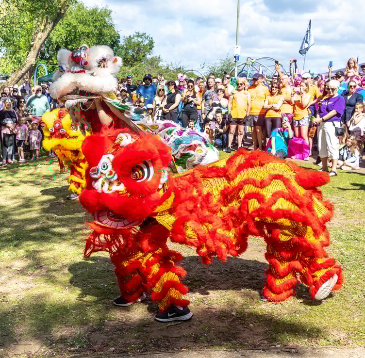Chinese Dragon Dance at the Dragonboat Race