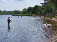 Popular swimming spot closed due to harmful algae 