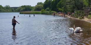 Popular swimming spot closed due to harmful algae 