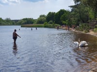 Popular swimming spot closed due to harmful algae 