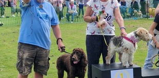 Village fair organisers offering the Best of British
