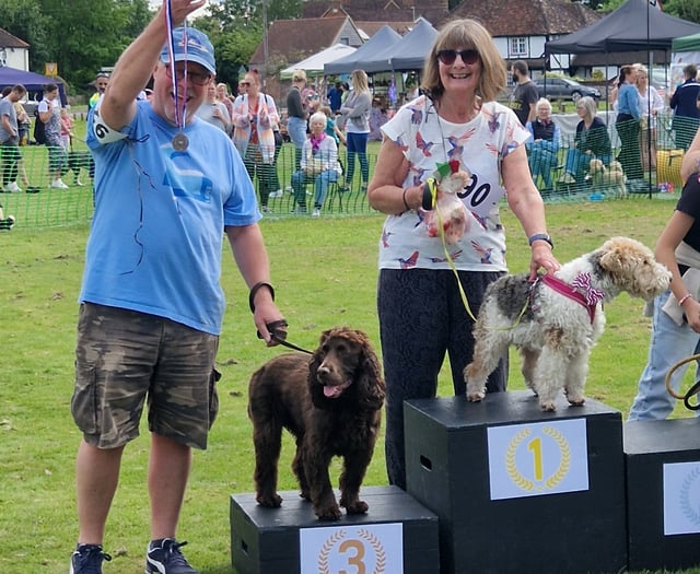 Golden glow at Olympic-themed Pirbright Village Fair 