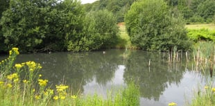 'We must work with nature, not against it'